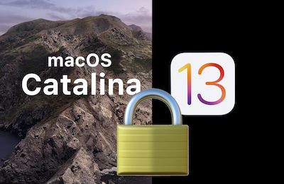 Pulse secure update for macos catalina bay